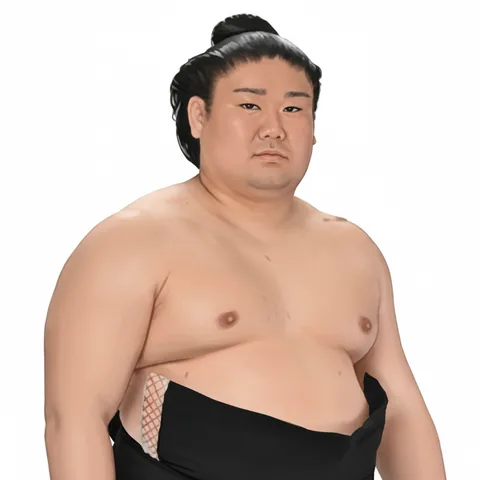 西ノ龍